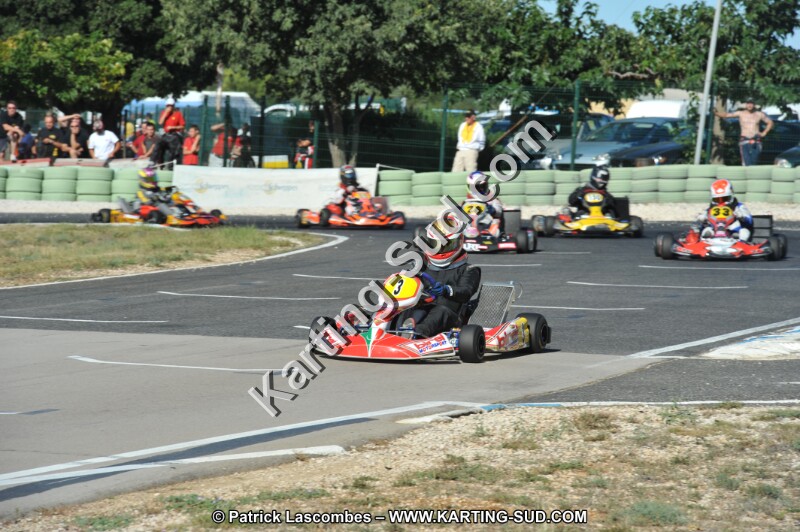 DSC (2491).JPG